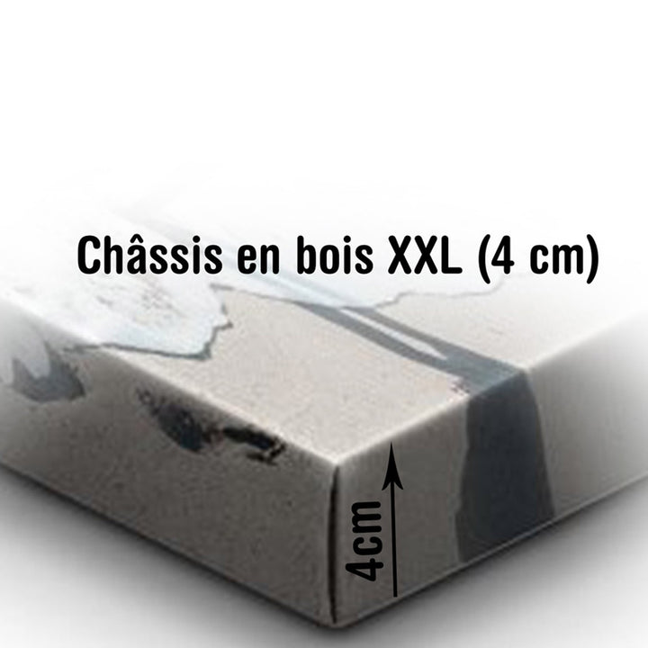 Aucun,Aucun / 80X60cm,60X40CM,60X40CM / Aucun