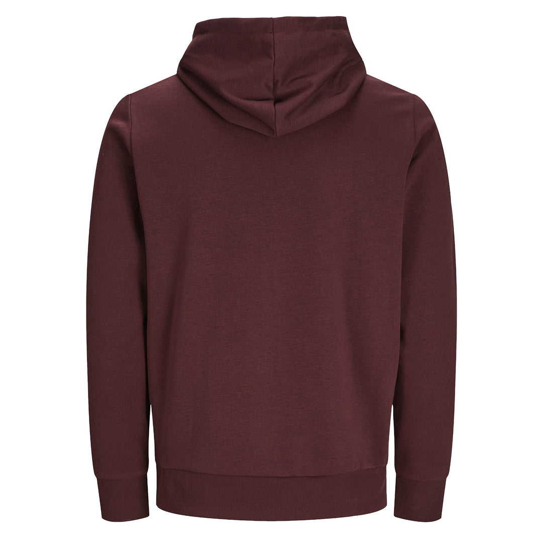 Veste  capuche Zip Logo