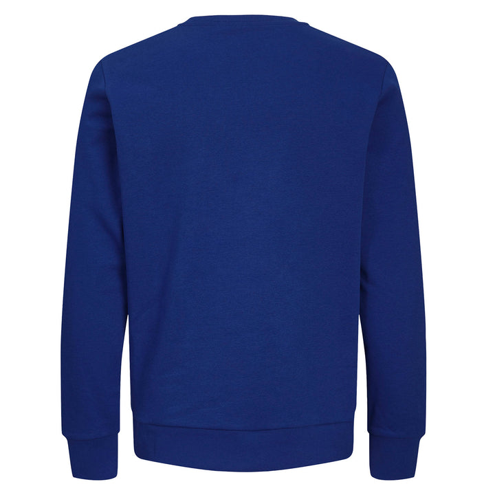 Sweat RD  royal